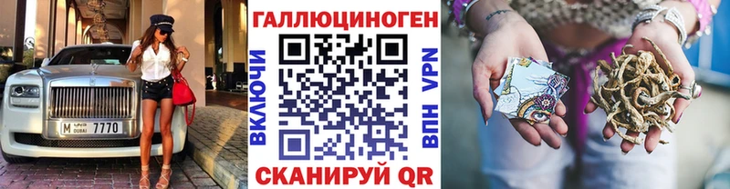 omg маркетплейс  Сасово  Галлюциногенные грибы Psilocybe 